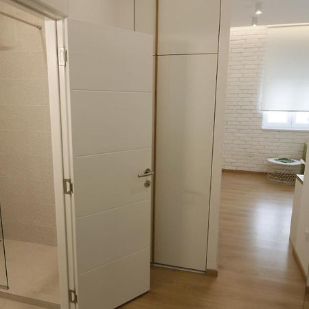 Apartment Ana, Vracar, Belgrade Extérieur photo