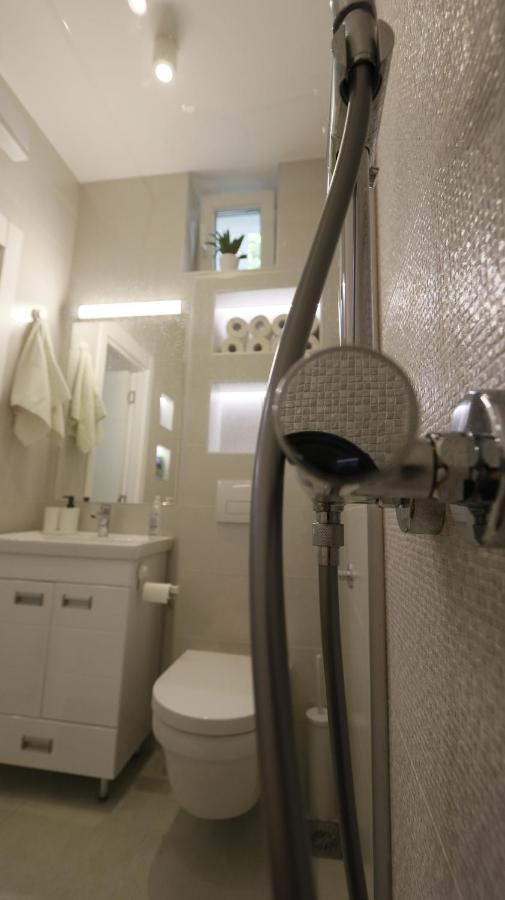 Apartment Ana, Vracar, Belgrade Extérieur photo