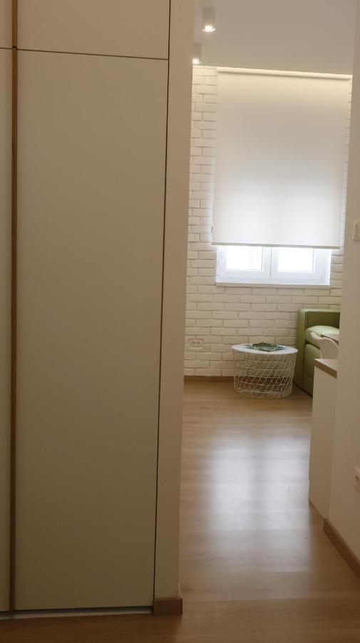 Apartment Ana, Vracar, Belgrade Extérieur photo