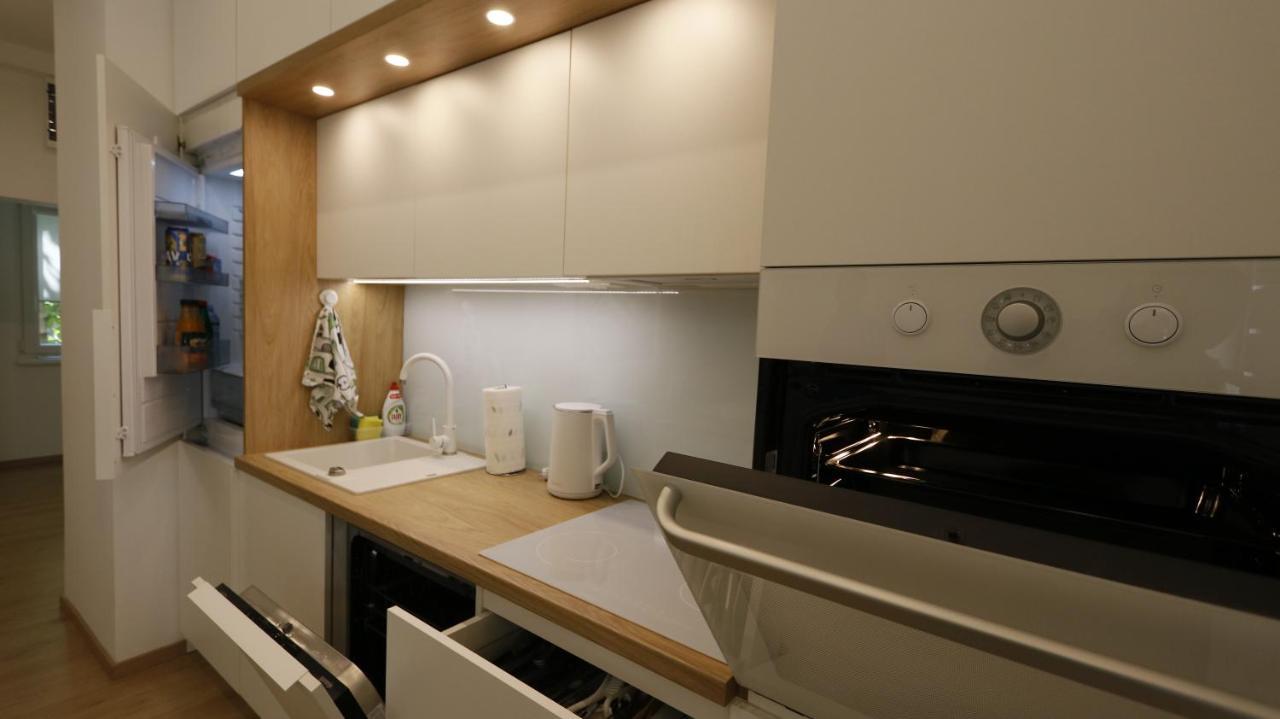 Apartment Ana, Vracar, Belgrade Extérieur photo
