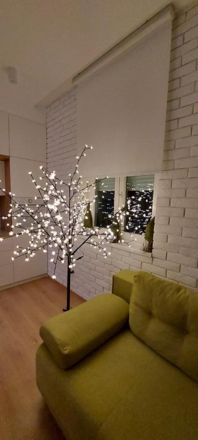 Apartment Ana, Vracar, Belgrade Extérieur photo