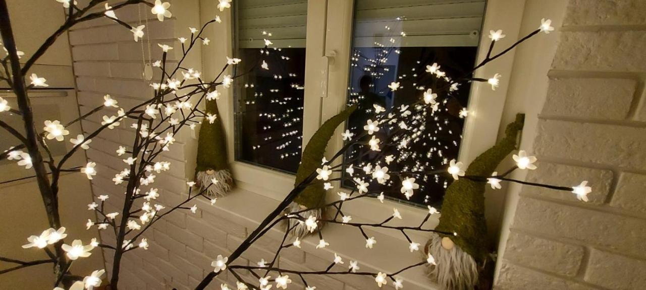 Apartment Ana, Vracar, Belgrade Extérieur photo